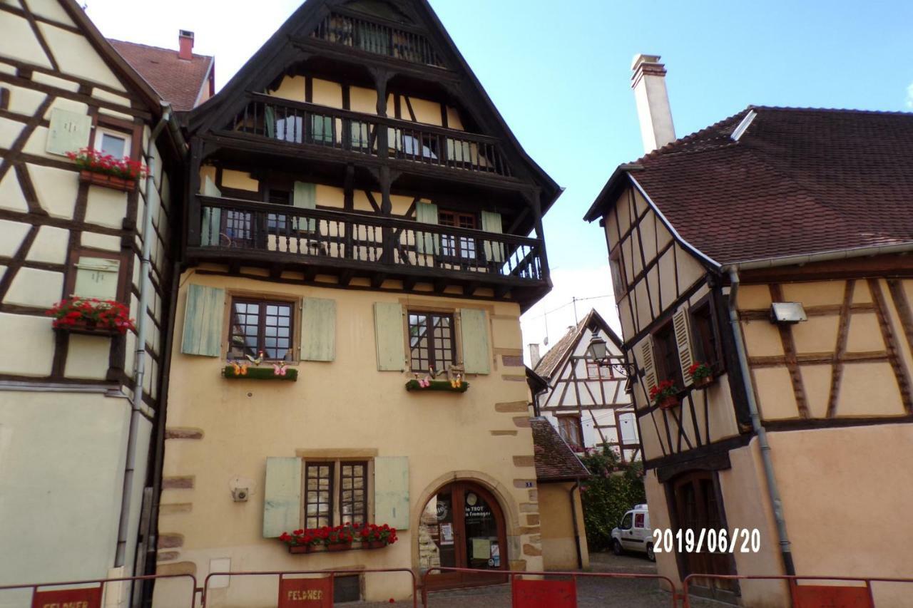 Duplex Saint Lustre, View Over Castle And Storks, 5 Mn From Colmar Эгишем Экстерьер фото