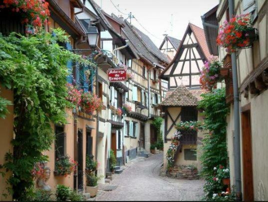 Duplex Saint Lustre, View Over Castle And Storks, 5 Mn From Colmar Эгишем Экстерьер фото
